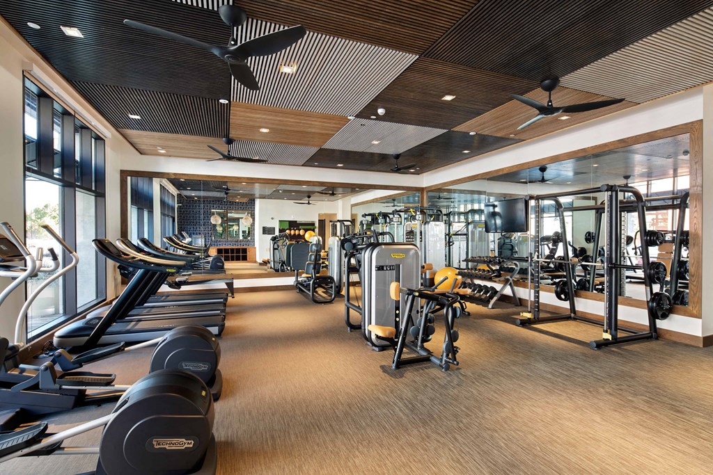 Brightly lit fitness center with weightlifting and cardio equipment