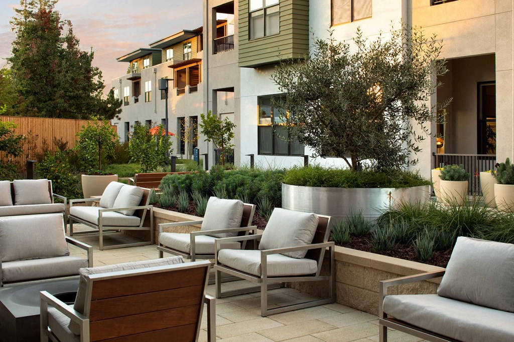 Outdoor courtyard full of greenery and comfortable seating