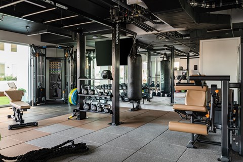 a gym with a lot of equipment and weights