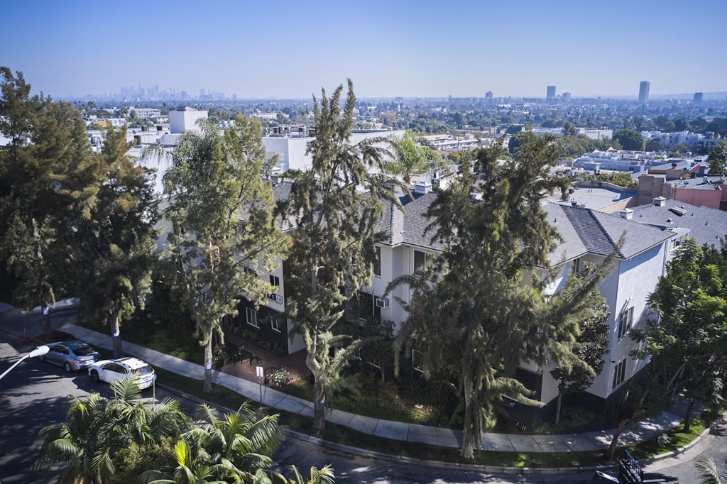 Aerial view of building and trees