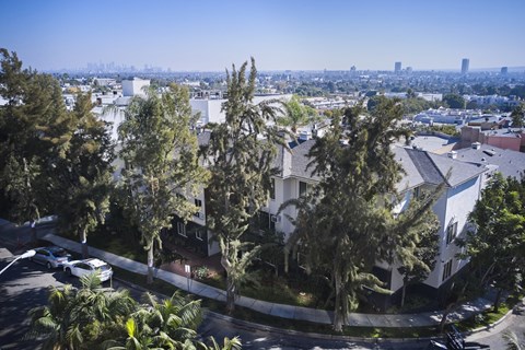 Aerial view of building and trees