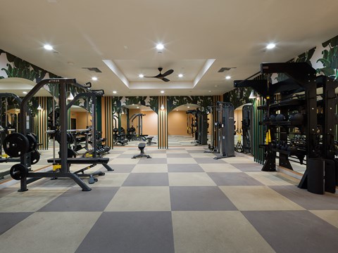 a workout room with weights and a checkered floor and a wall of plants