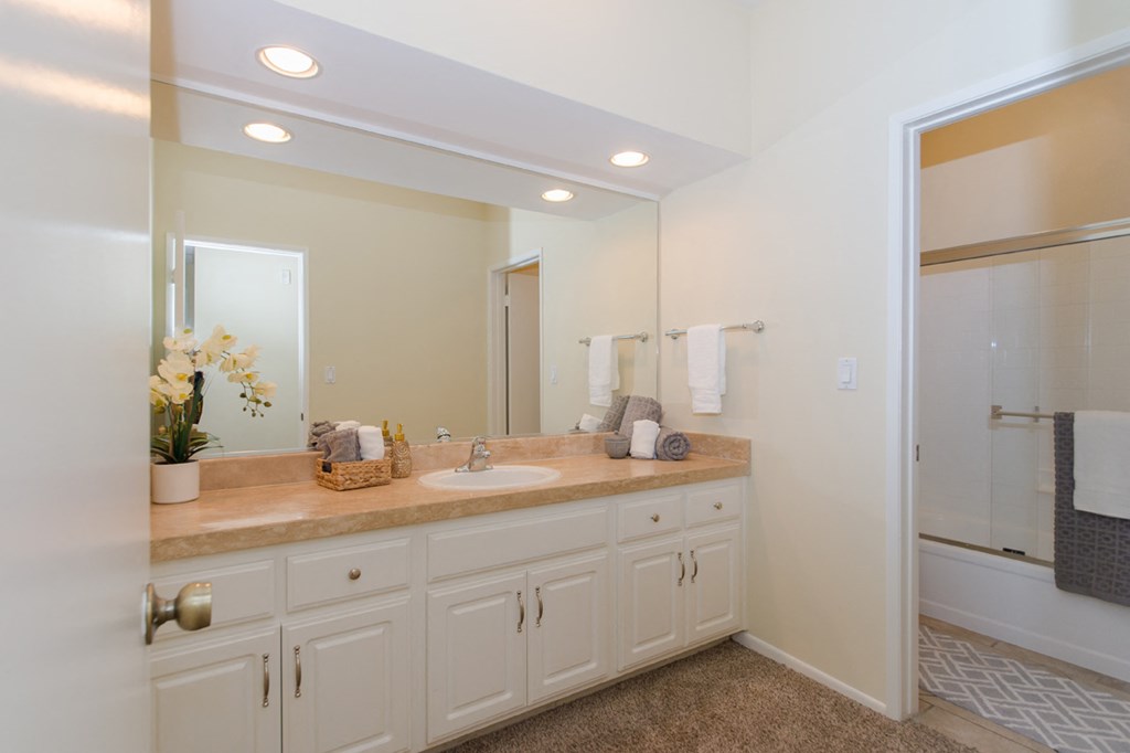 Spacious, bright bathroom with plenty of counter space and large mirror