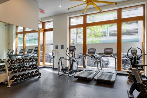 A gym with treadmills, elliptical machines, and a fan.