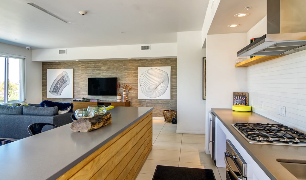 Rooftop indoor clubhouse area with kitchen and counterspace