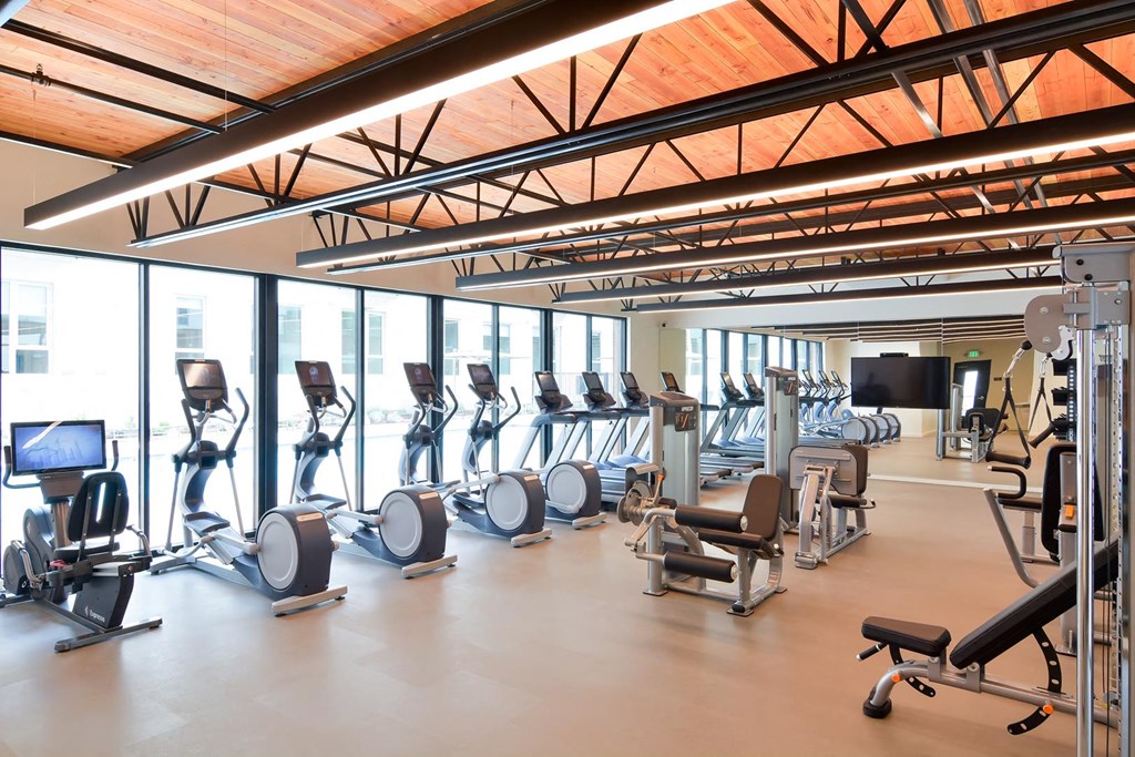 Fitness center row of ellipticals against wall of windows
