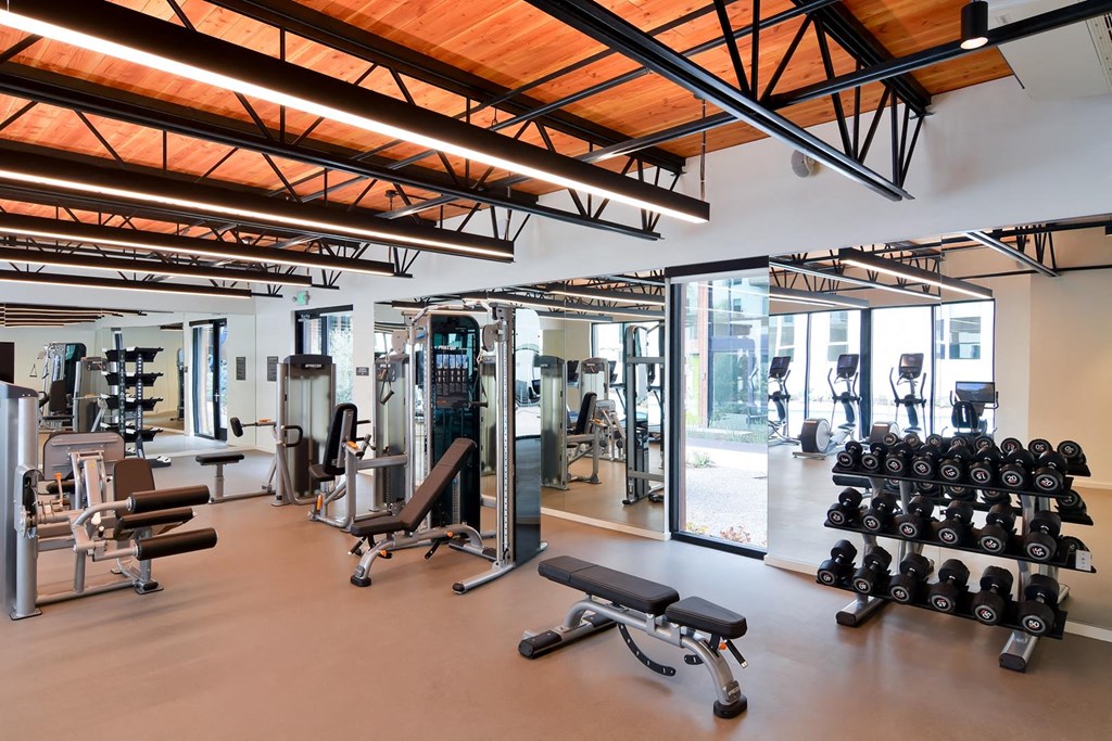Fitness center with weightlifting and cardio equipment