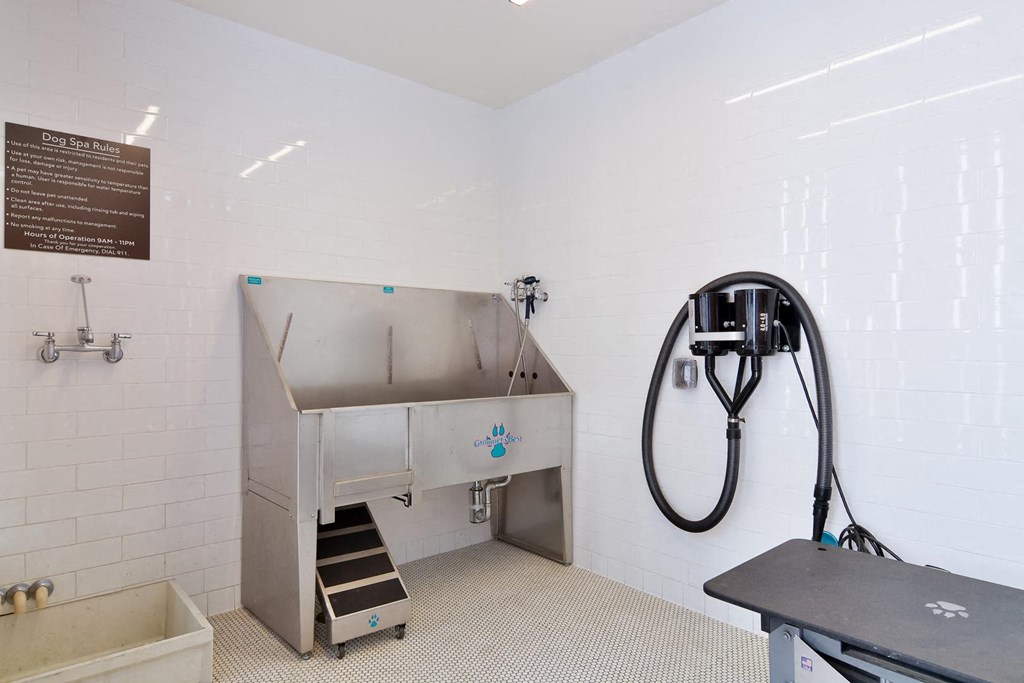 Dog spa with dog washing and grooming equipment