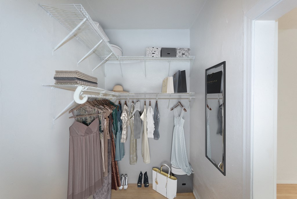 Spacious walk-in closet