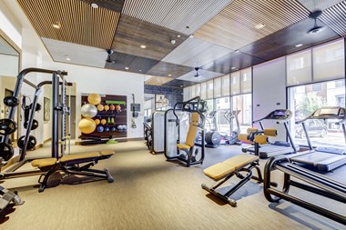 Fitness Center with weights, weightlifting equipment, and cardio equipment