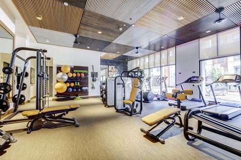 Fitness Center with weights, weightlifting equipment, and cardio equipment