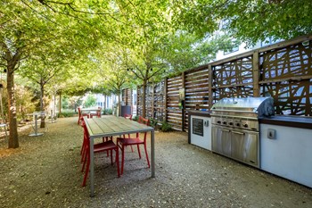 Garden grill area and table under canopy of trees - Photo Gallery 13