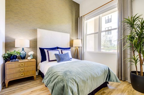 Bedroom Homey bedroom with full bed and bedside table next to large window and potted tree