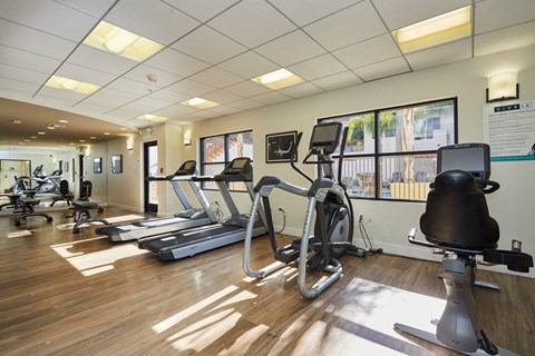 Fitness center with natural lighting and exercise equipment
