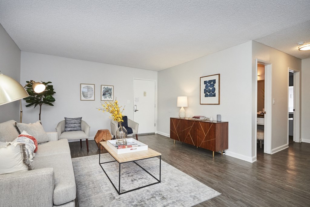 Living Area with Minimalistic Decor