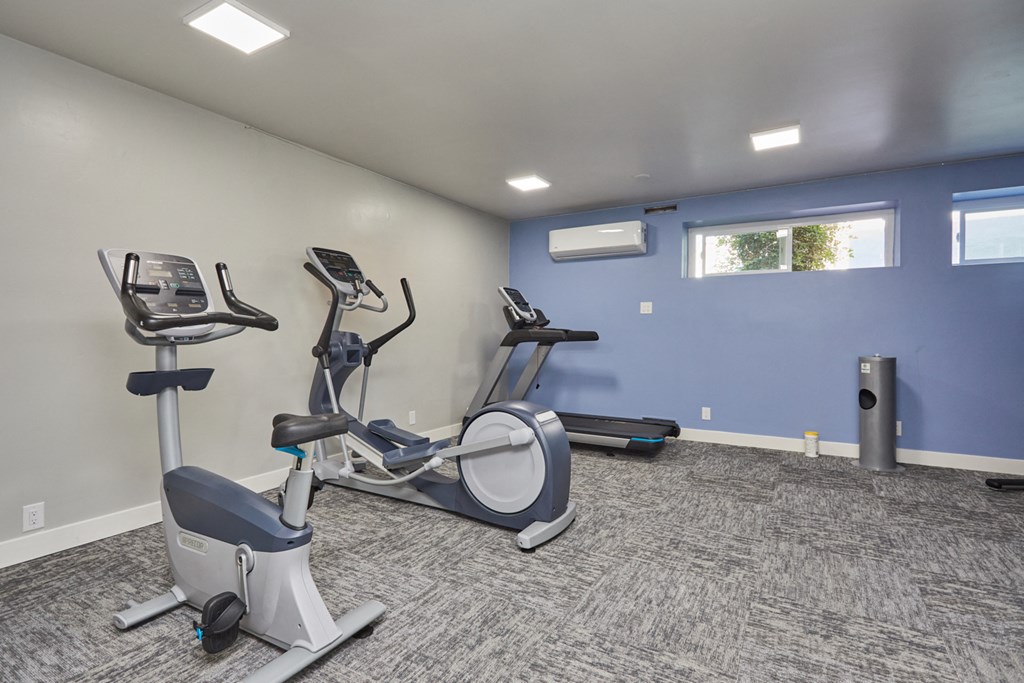 Fitness center with cardio machines
