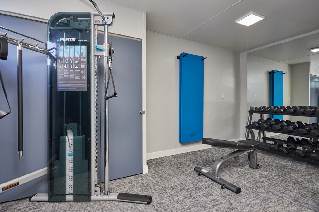 Fitness Center with Weights and Weightlifting Equipment