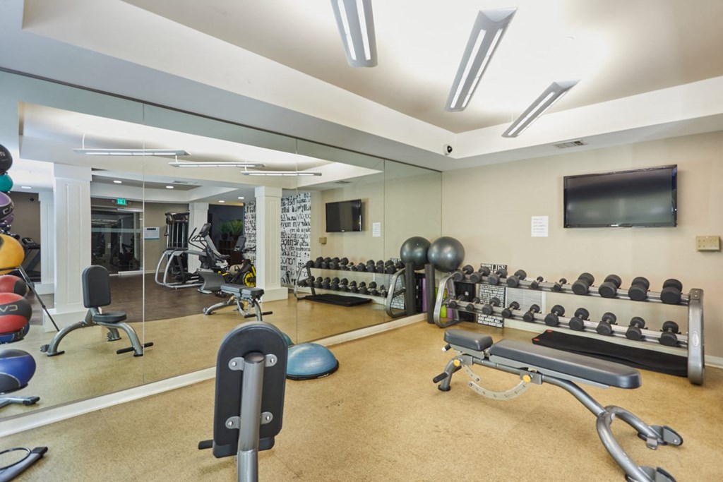 Bright gym with weights and equipment in front of mirror wall
