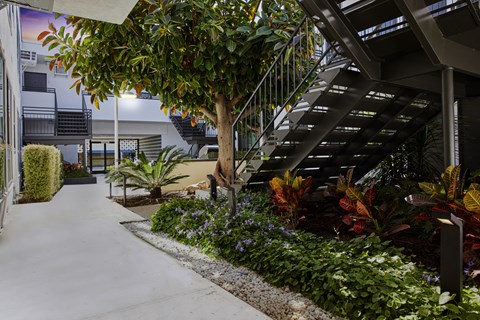 Outdoor courtyard with lush landscaping