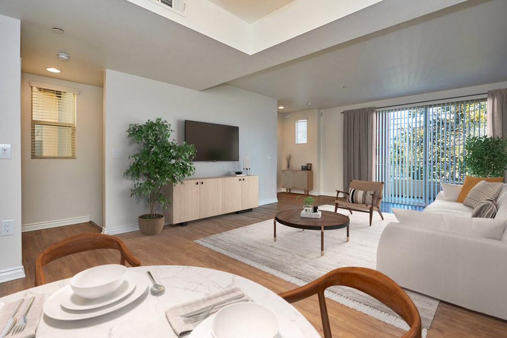 Living area with minimalistic decoration