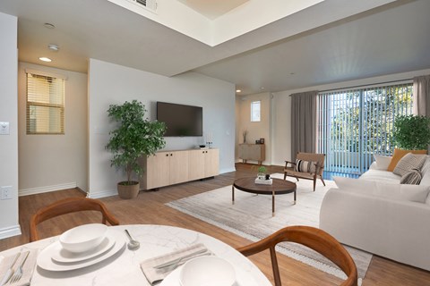 Living area with minimalistic decoration