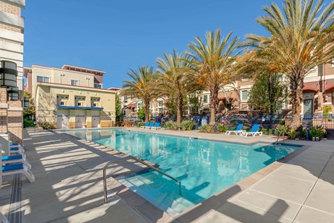 a swimming pool with palm trees and buildings in the background