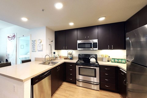 a large kitchen with stainless steel appliances and black cabinets