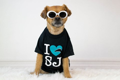 a dog wearing sunglasses and a shirt that says i love 87