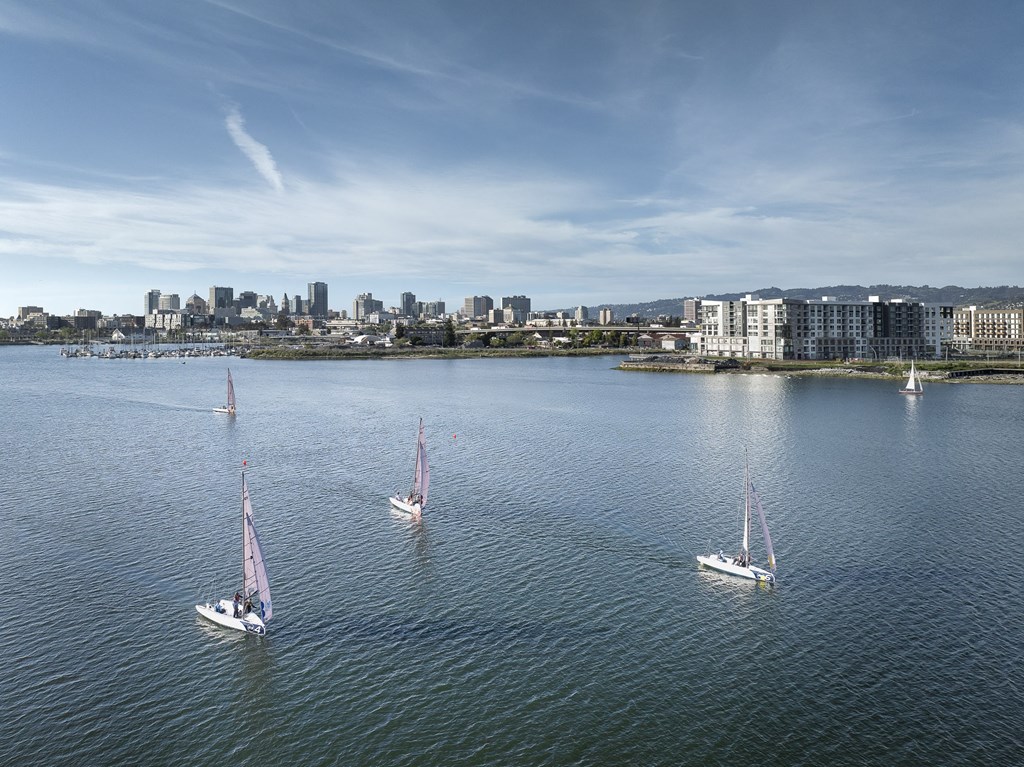 two sail boats on the water with a city in the background