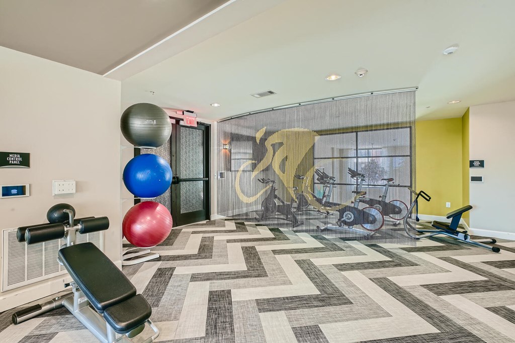 the gym at Imperial Lofts, Sugar Land, 77498