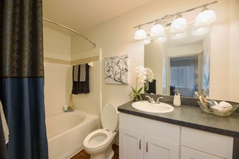bathroom in two bedroom two bath apartment - Photo Gallery 19