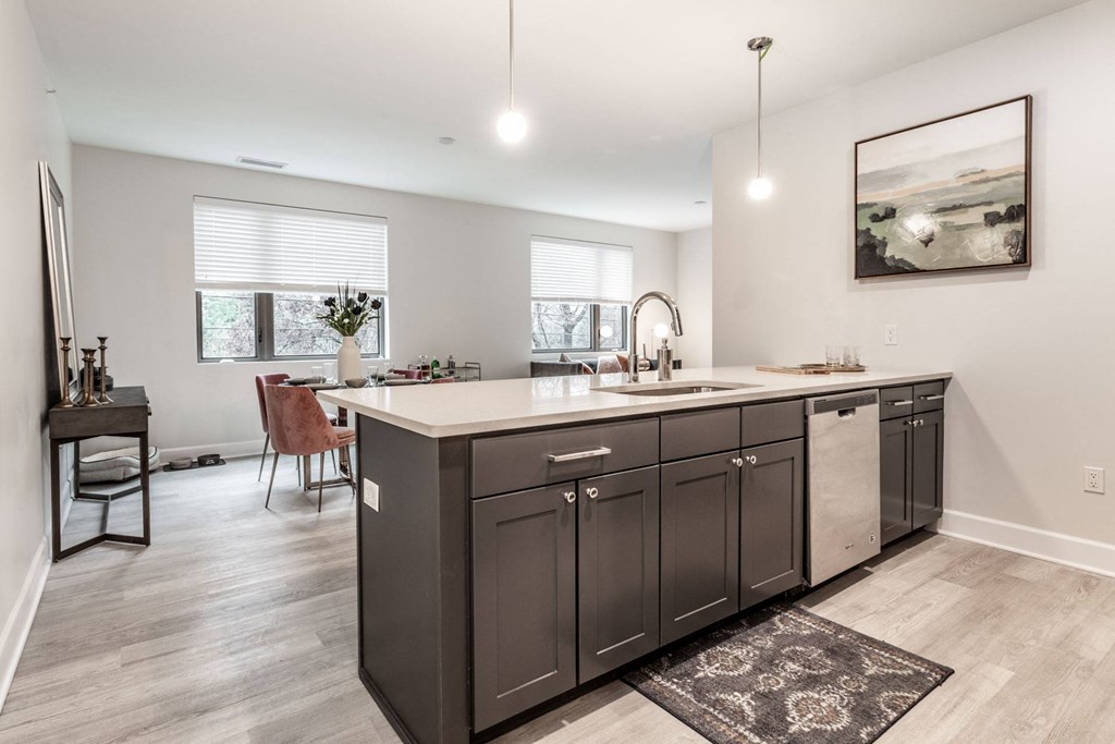 Kitchen sink at The MK, Indianapolis, 46220