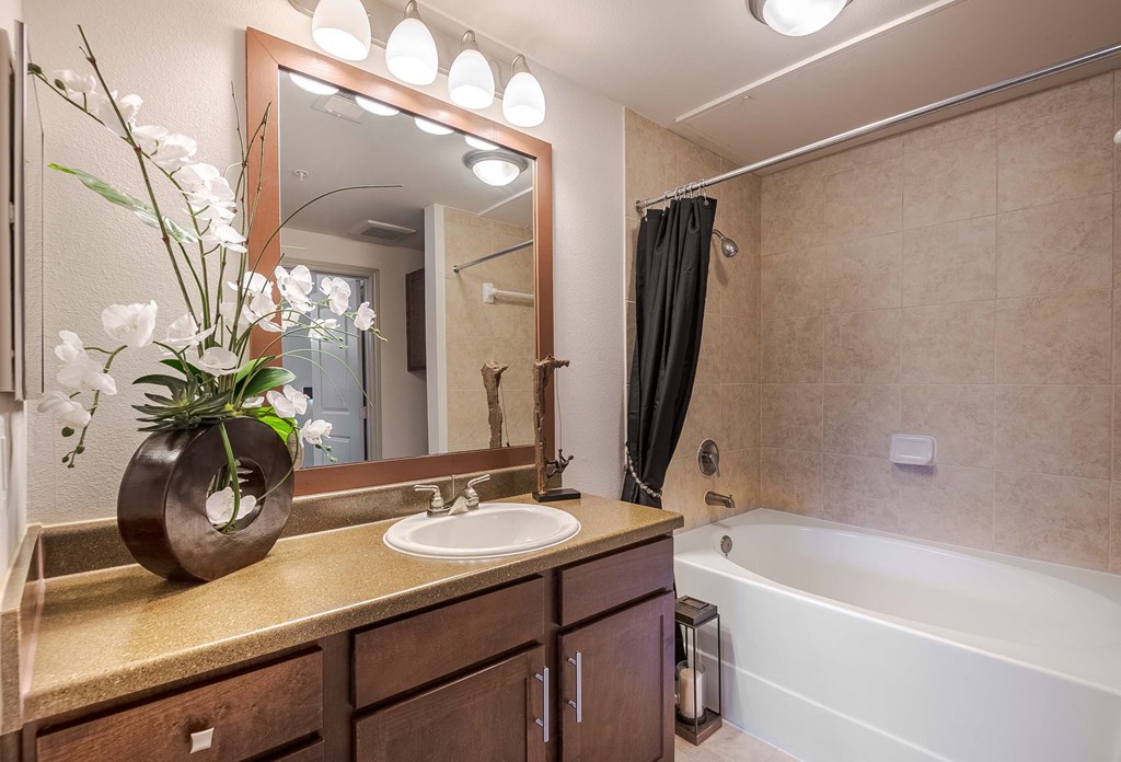 a bathroom with a sink and a tub and a mirror at Discovery at Craig Ranch, Texas, 75070
