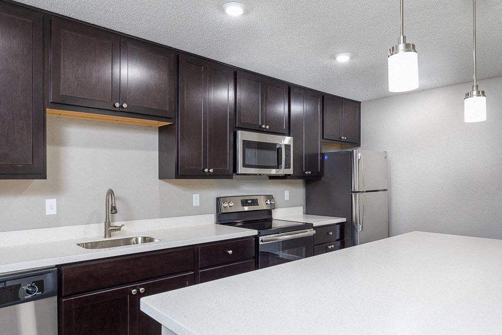 Stainless Steel Appliances at Springhill Apartments, Kansas, 66213