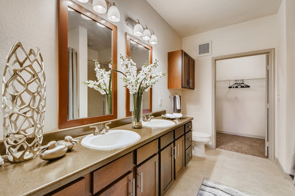 Luxurious Bathroom at Discovery at Craig Ranch, Texas, 75070