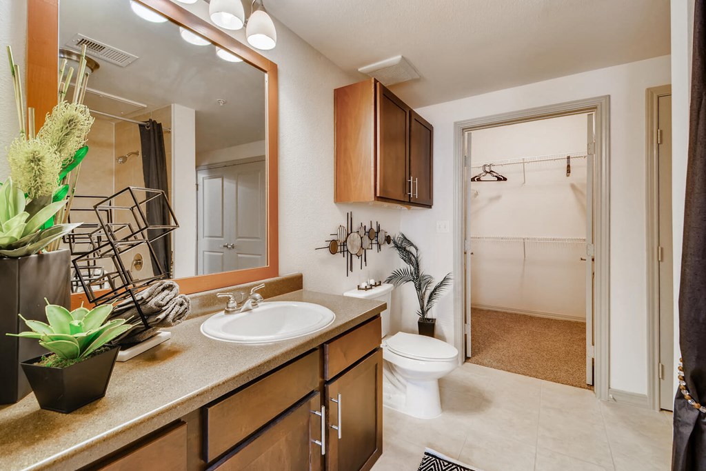 Bathroom at Discovery at Craig Ranch, McKinney, Texas