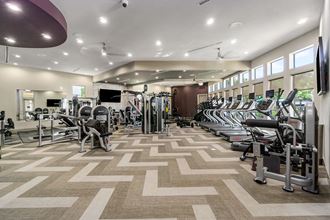 a gym with cardio machines and weights on the floor