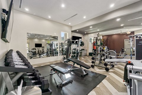 a gym with weights and dumbbells and mirrors