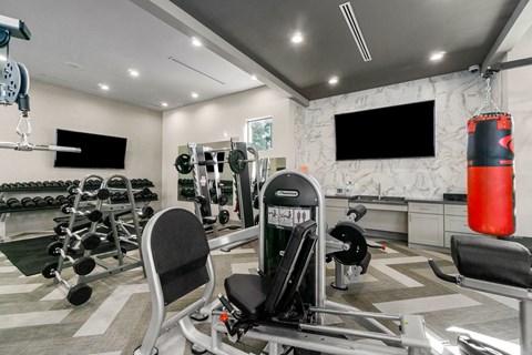 a gym with weights and a tv on the wall