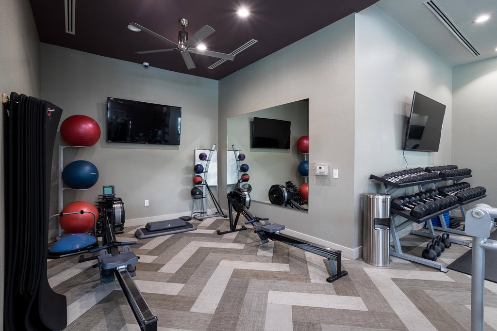 Discovery At Kingwood