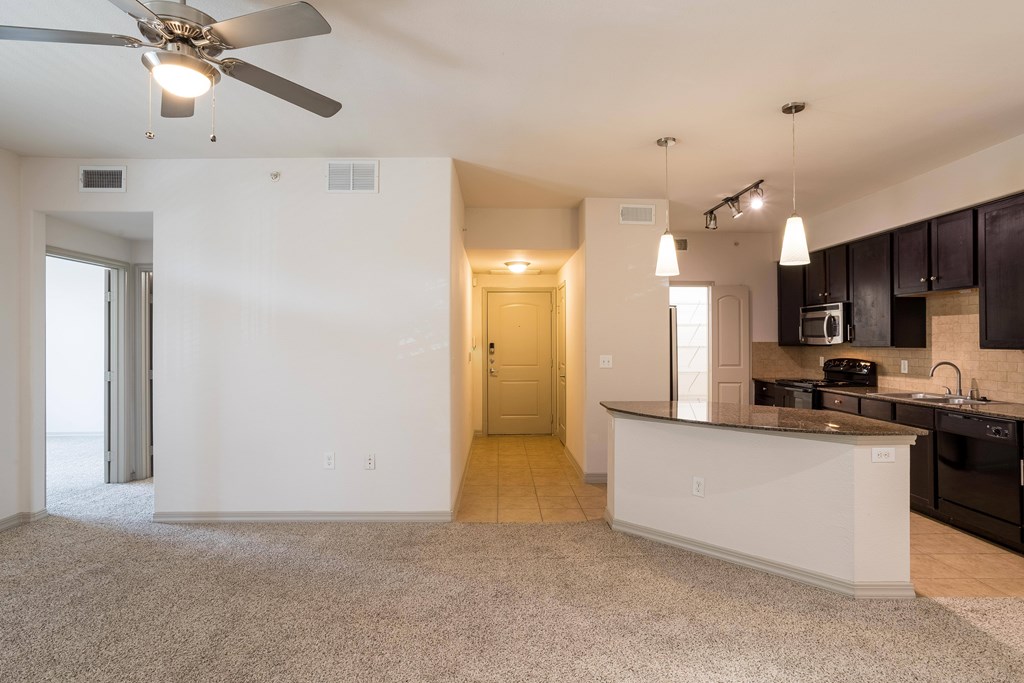 Discovery At Kingwood