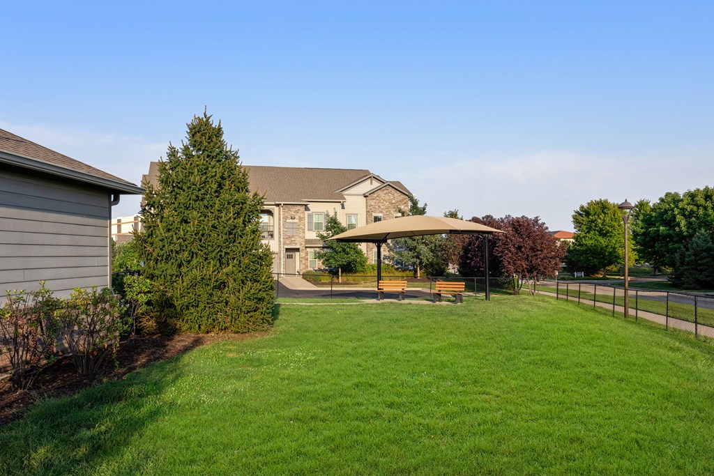 A park with a bench and a tree.