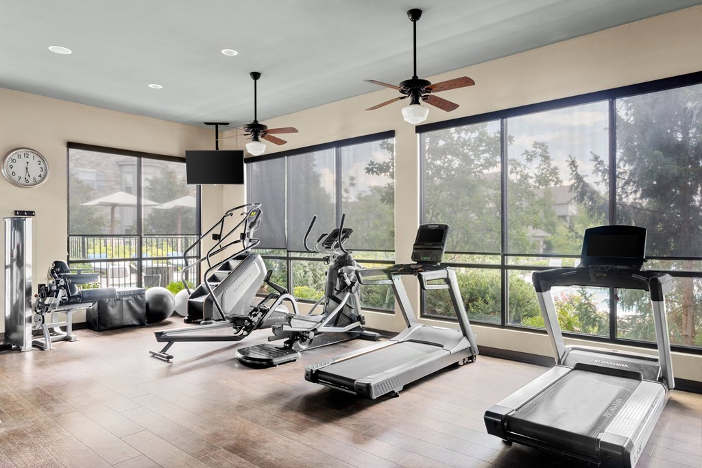 A gym with treadmills, elliptical machines, and a fan.
