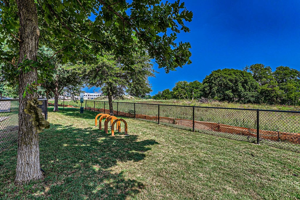 a dog park with a tree and a chain link fence at Discovery at Craig Ranch, McKinney, Texas
