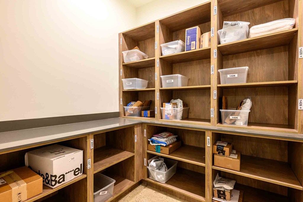 A storage room with shelves and boxes.