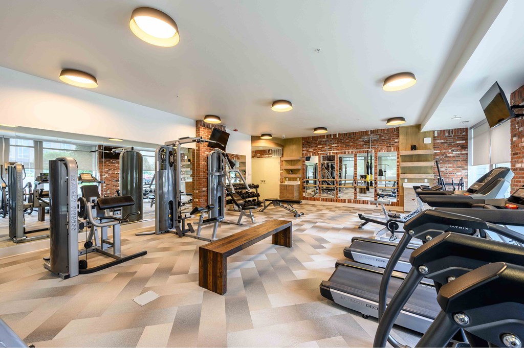 A gym with treadmills, weights, and exercise equipment.