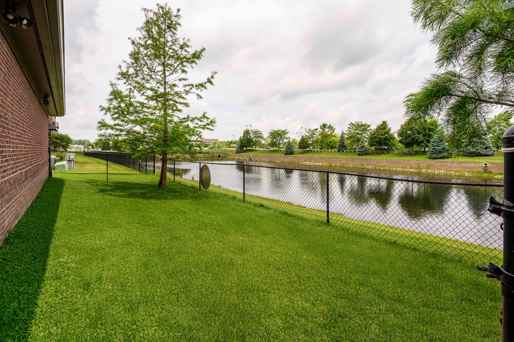 A tree stands next to a body of water.