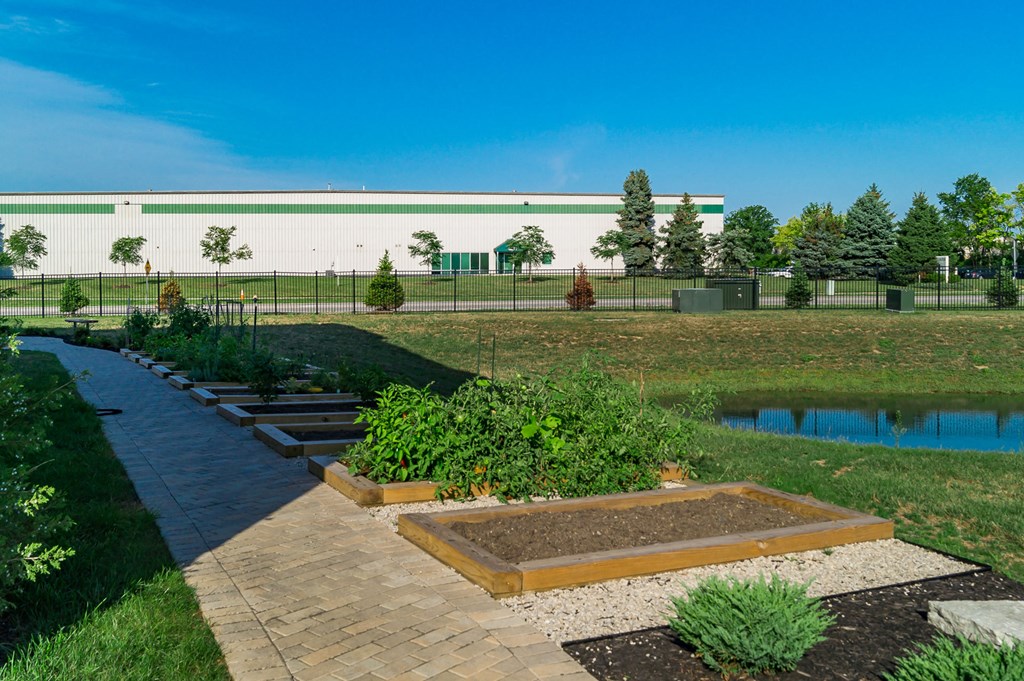 raised gardens beds next to pond at The Greyson, Ohio, 43026