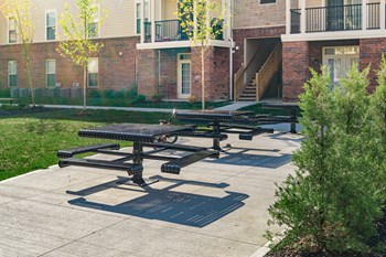 picnic tables next to small trees - Photo Gallery 7
