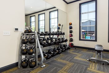 free weights in fitness center - Photo Gallery 20